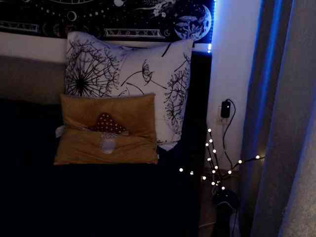 RacyRoby webcam