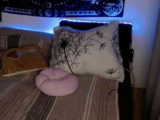 RacyRoby webcam