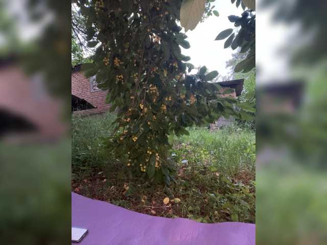 Milana22a