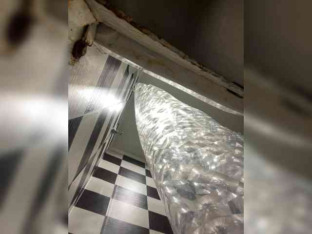 Milana22a webcam