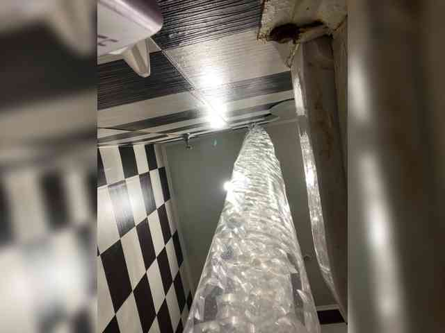 Milana22a webcam