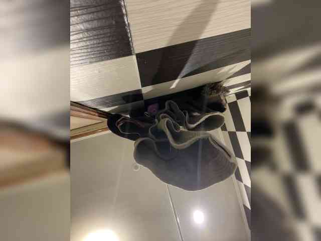 Milana22a webcam