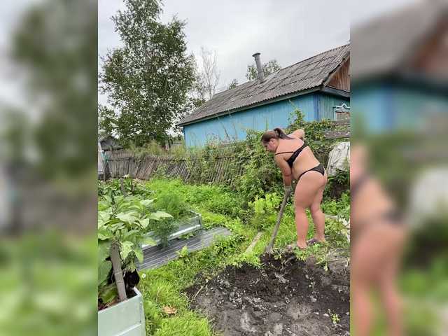 0_Danelis_0