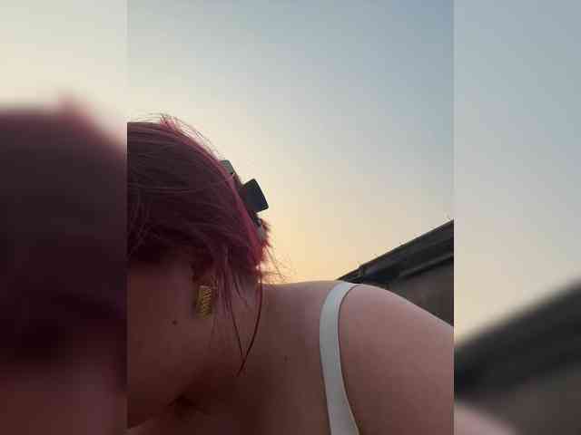 0_Danelis_0 webcam