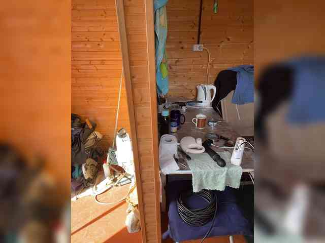 0_Danelis_0 webcam