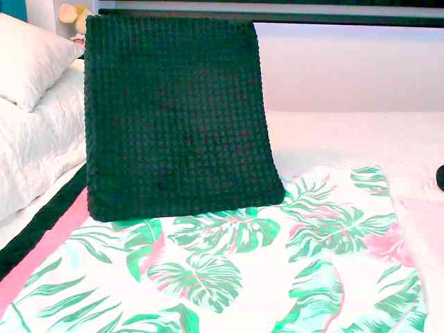 Kendraline webcam