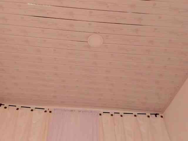 Abbyjohnson webcam