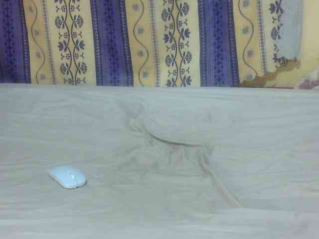 Live stream of Juicyass-02