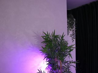 JessyKisss Porn Show