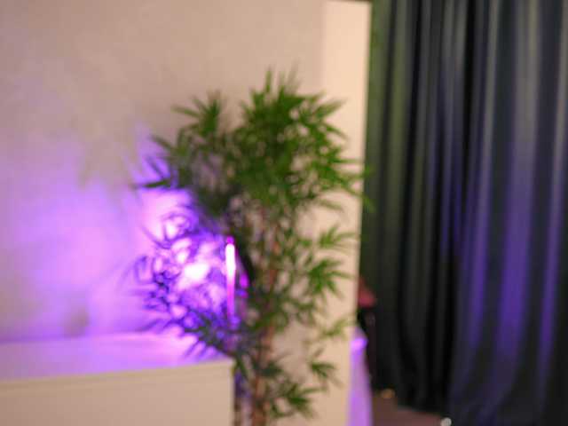 JessyKisss live cam on BongaCams