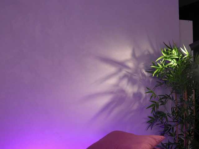 JessyKisss's BongaCams show and profile