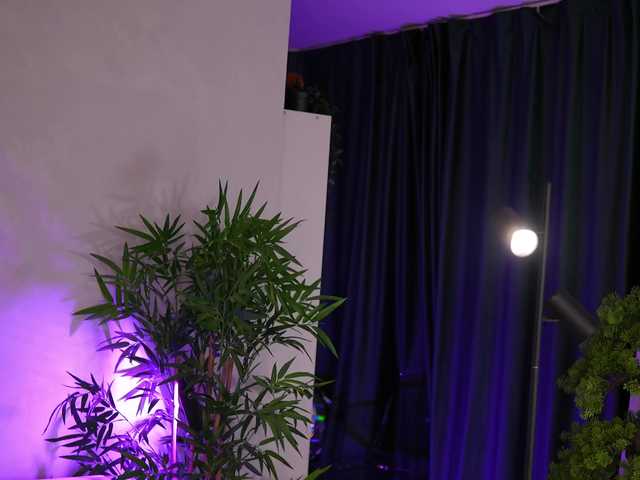 JessyKisss live cam on BongaCams