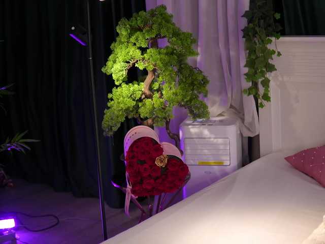 JessyKisss live cam on BongaCams