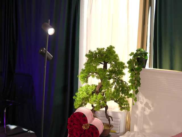 JessyKisss live cam on BongaCams