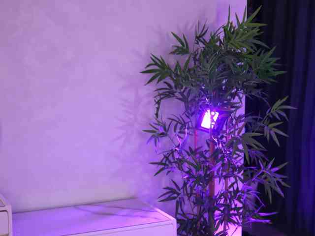 JessyKisss