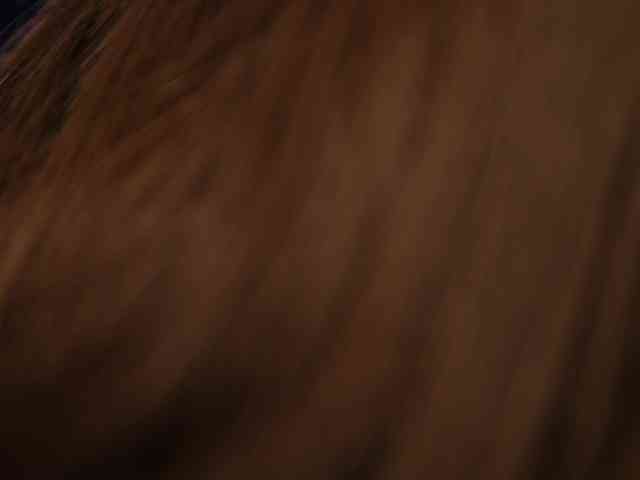 JessyKisss webcam