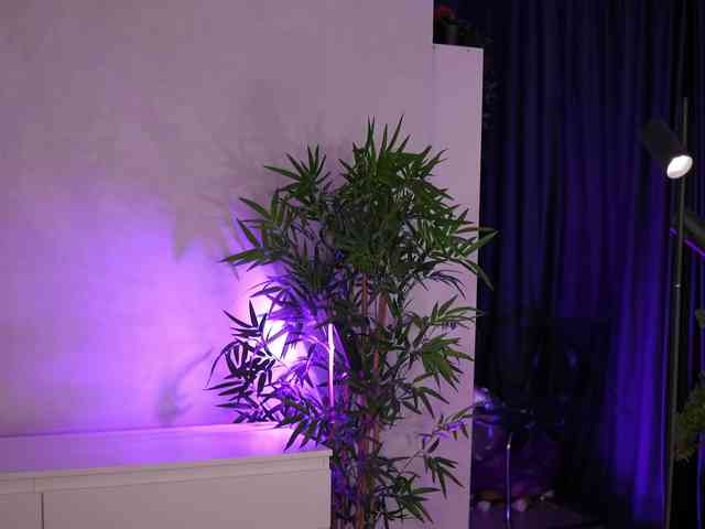JessyKisss Sex Cam Show