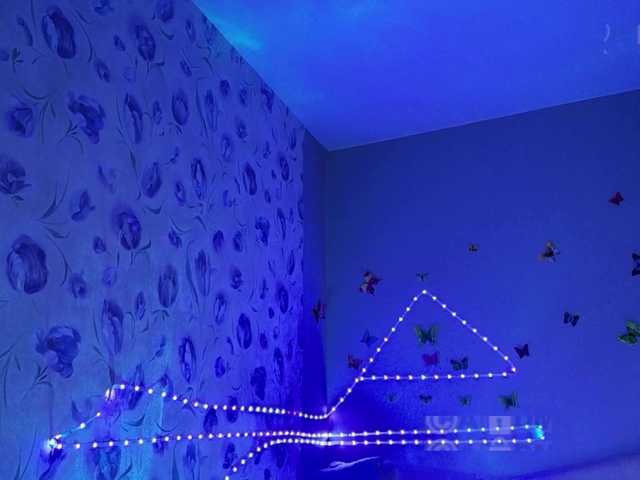 Armura live cam on BongaCams
