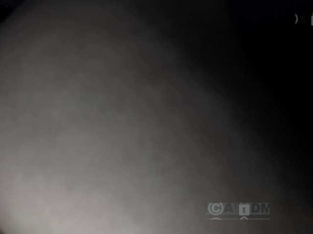 Armura live cam on BongaCams