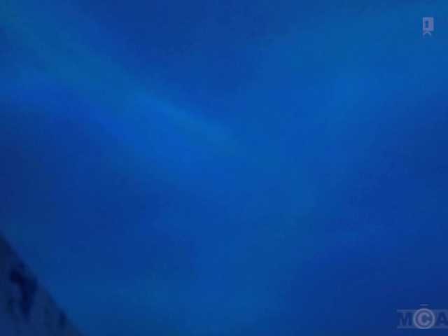 Armura live cam on BongaCams
