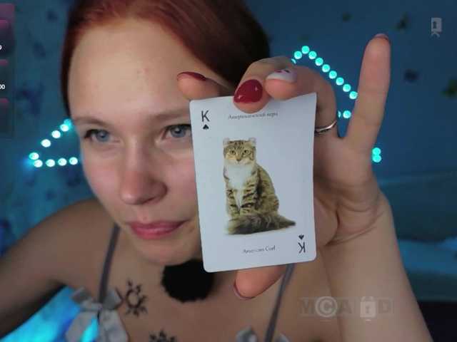 Armura live cam on BongaCams