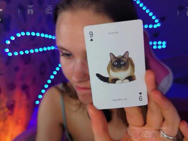 armura cam belle
