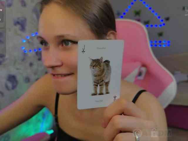 Armura webcam