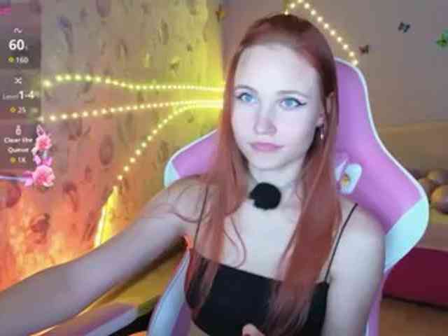 Armura webcam