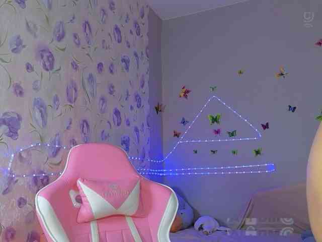 Armura webcam