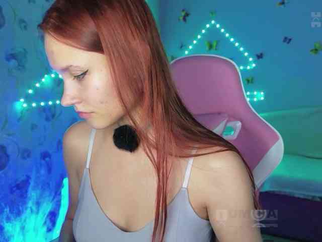 Armura webcam