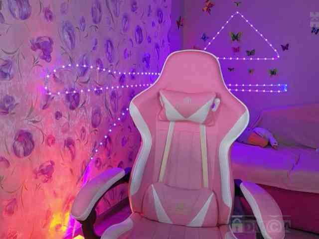 Armura webcam