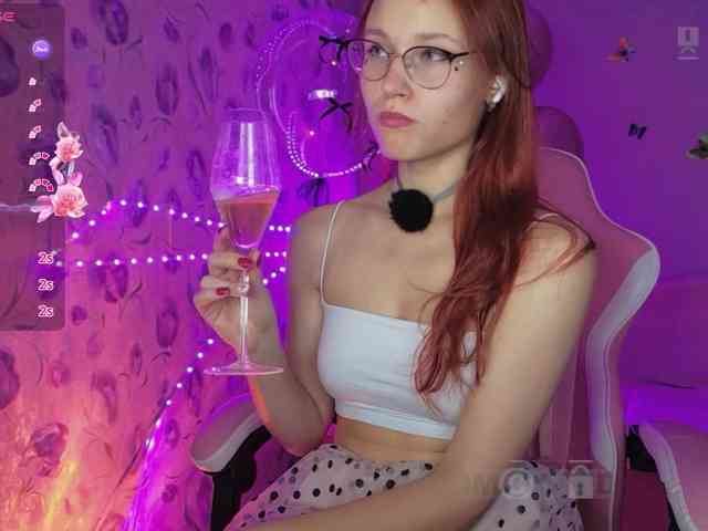 Armura webcam