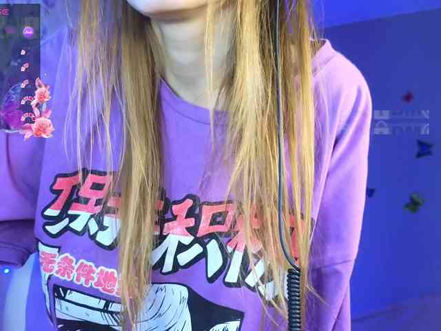 Armura webcam