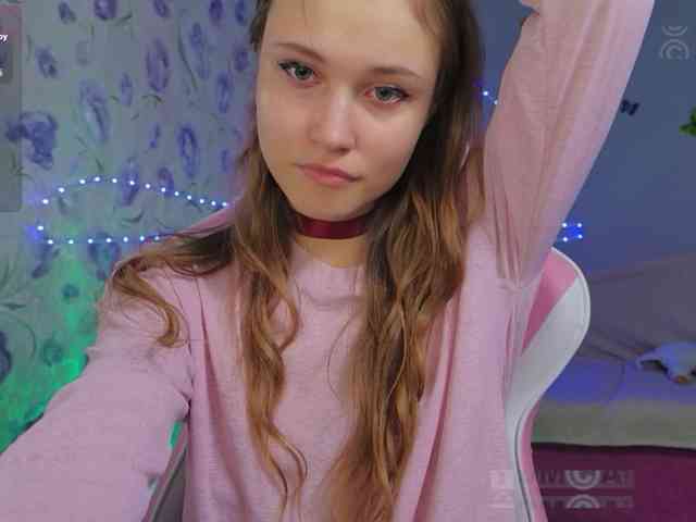 Armura webcam