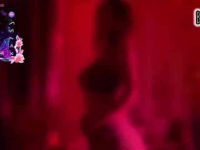 Armura webcam