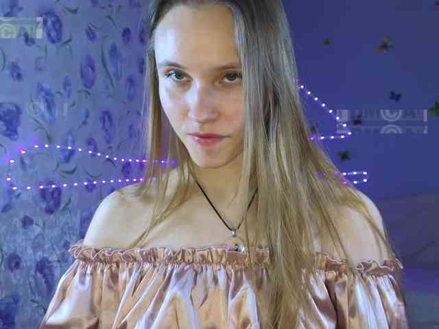 Armura webcam