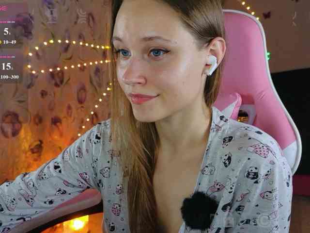 Armura webcam