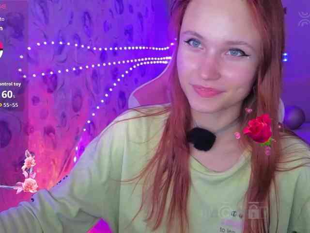 Armura webcam