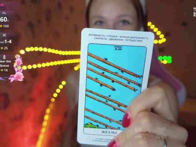Armura webcam