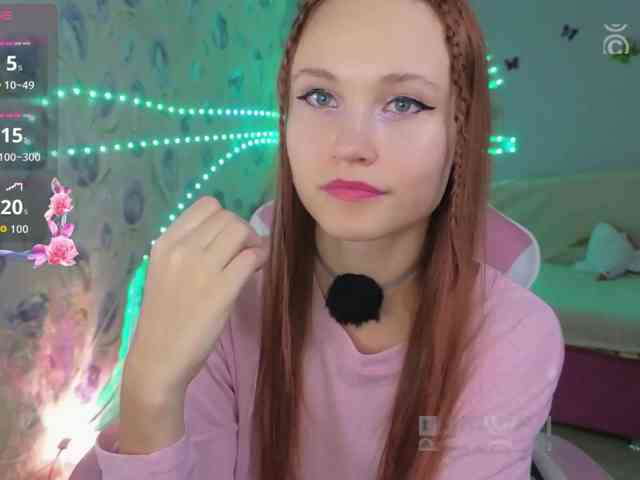 Armura webcam