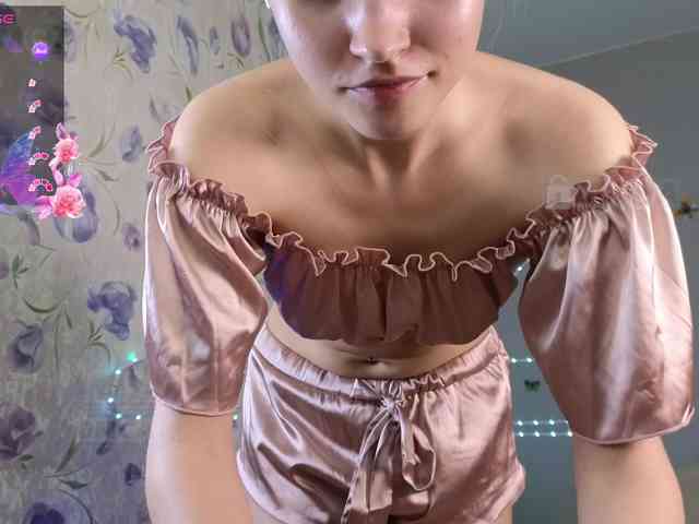 Armura webcam