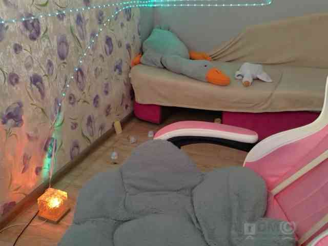 Armura webcam