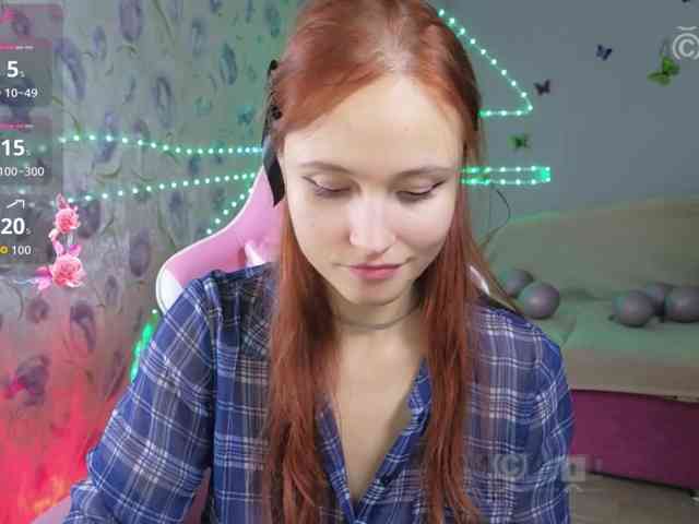 Armura webcam
