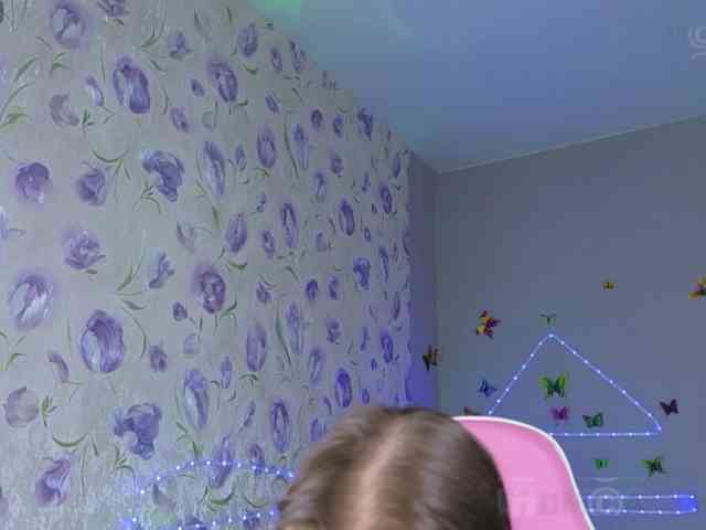 Armura webcam