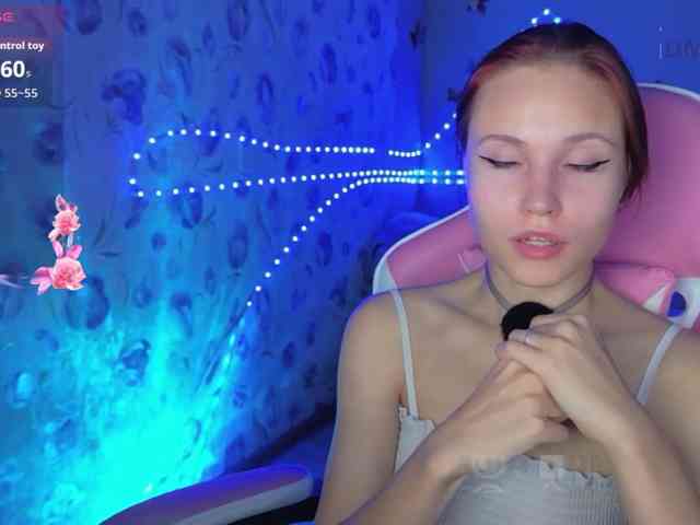 Armura webcam