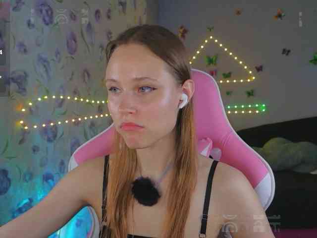 Armura webcam