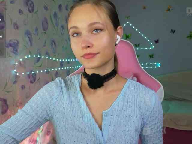 Armura webcam