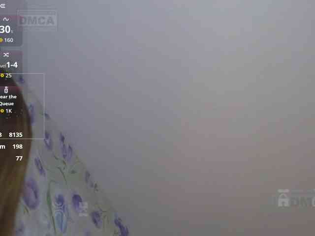 Armura webcam