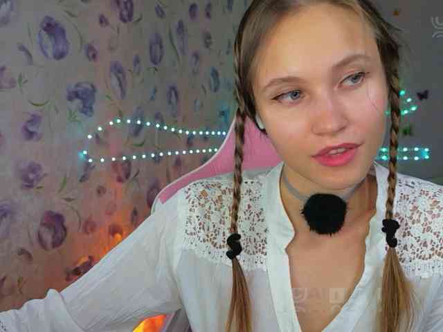 Armura webcam