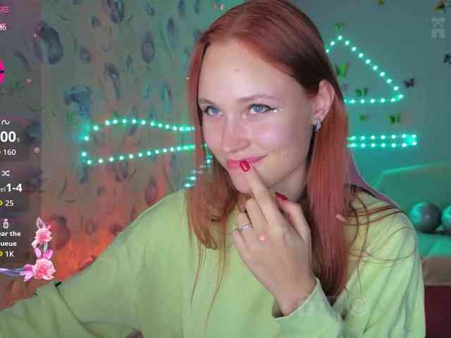 Armura webcam